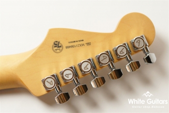 Player Plus Stratocaster HSS - Belair Blue